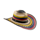 Sombrero 27 Fibras Hormado Diseño Colombiano