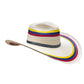 Sombrero 23 Fibras Hormado Tricolor